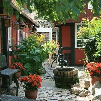 garden_03.jpg
